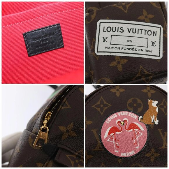 LOUIS VUITTON Monogram Palm Springs MINI Backpack main image 14
